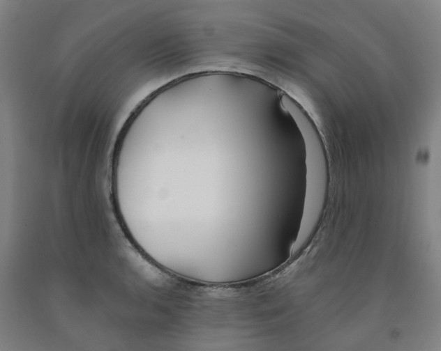 X0000091991136200709271442