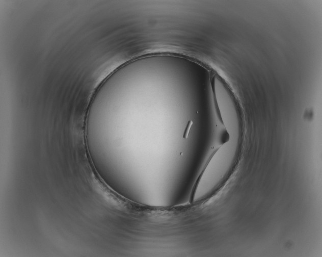 X0000091991137200709271442