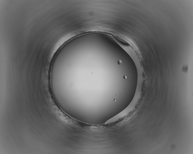 X0000091991138200709271442