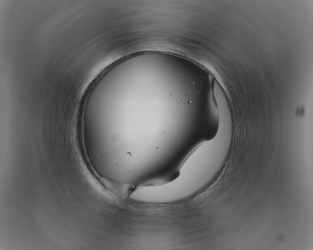 X0000091991139200709271442