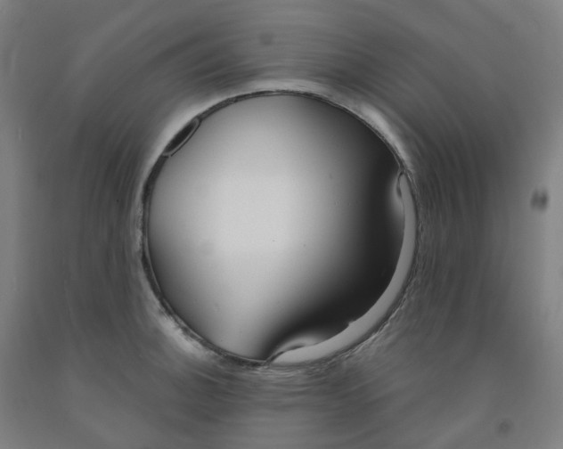 X0000091991140200709271442