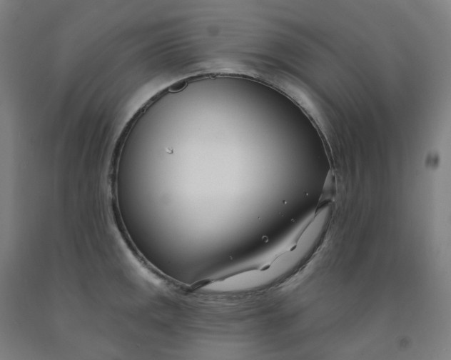 X0000091991141200709271442