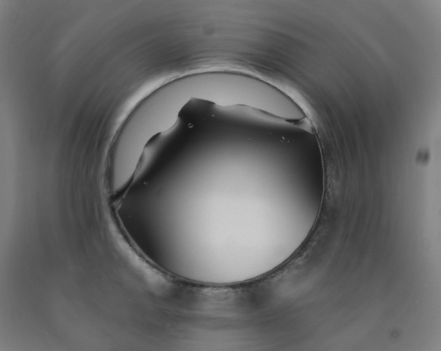 X0000091991142200709271442