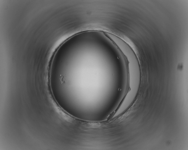 X0000091991144200709271442