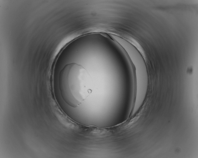 X0000091991146200709271442