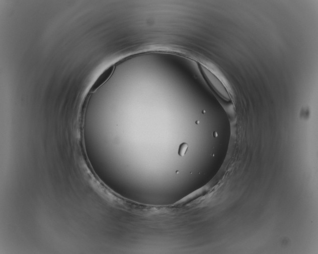 X0000091991148200709271442