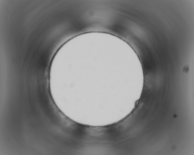 X0000091991150200709271442