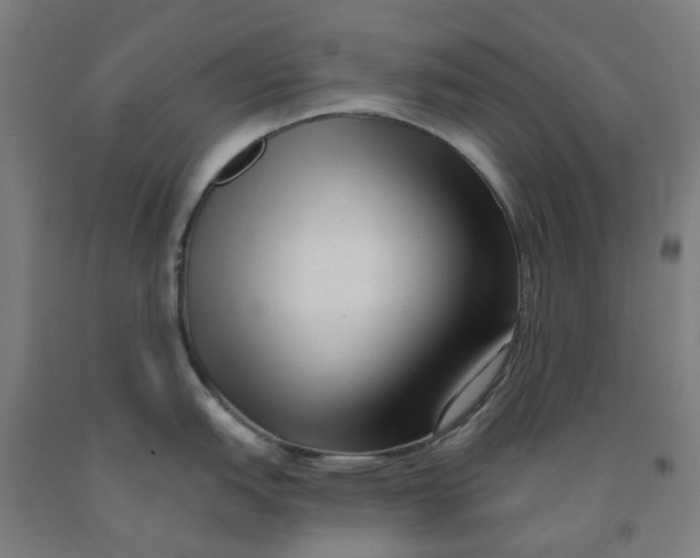 X0000091991151200709271442