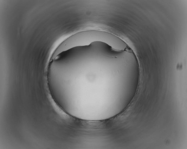 X0000091991152200709271442