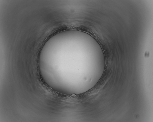 X0000091991153200709271442