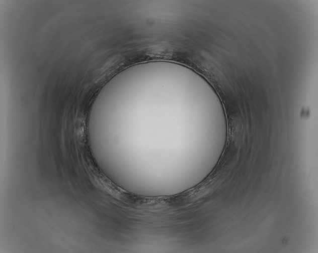 X0000091991154200709271442