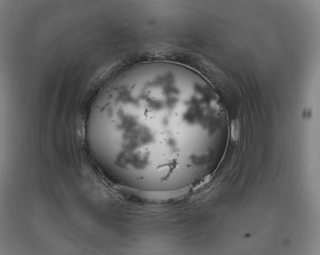 X0000091991155200709271442