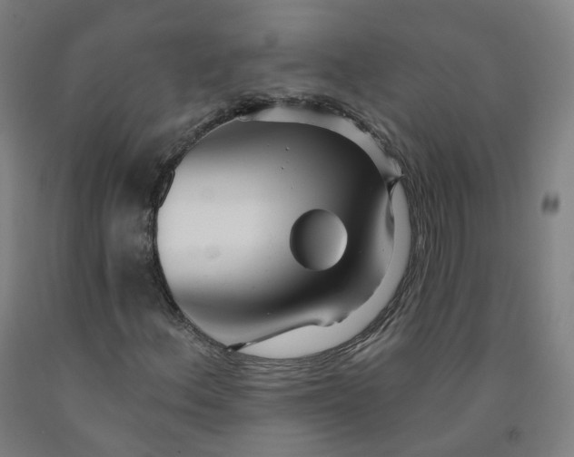 X0000091991156200709271442