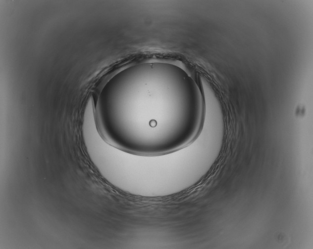 X0000091991157200709271442