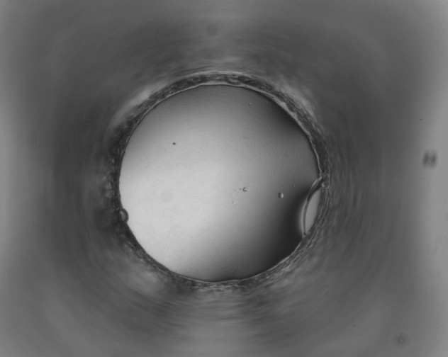 X0000091991159200709271442