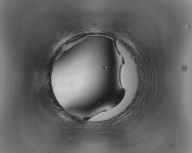 X0000091991160200709271442