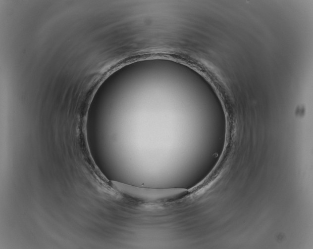 X0000091991161200709271442