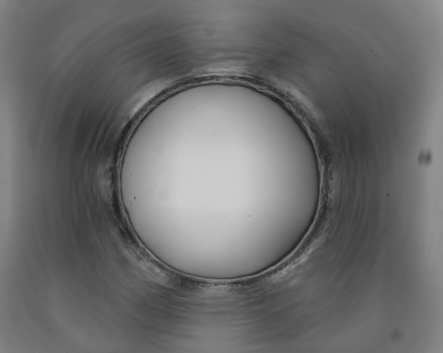 X0000091991162200709271442