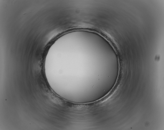 X0000091991163200709271442