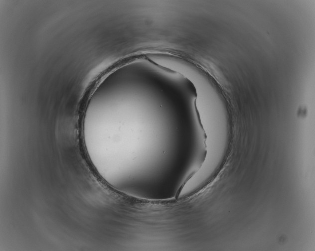 X0000091991164200709271442