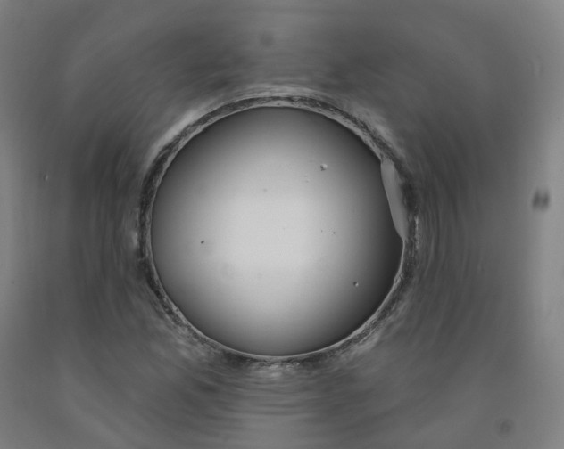 X0000091991165200709271442