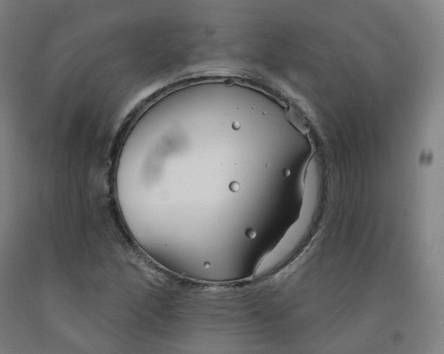 X0000091991166200709271442