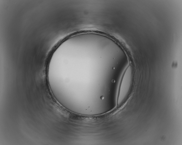 X0000091991167200709271442