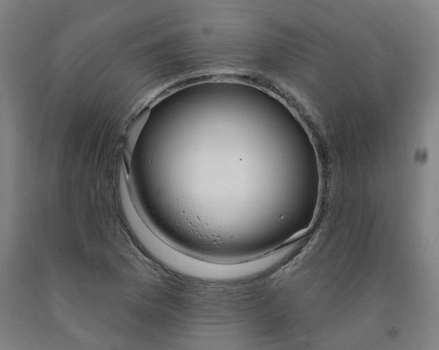 X0000091991169200709271442