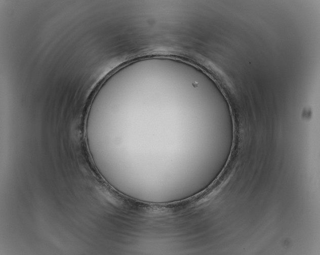 X0000091991170200709271442