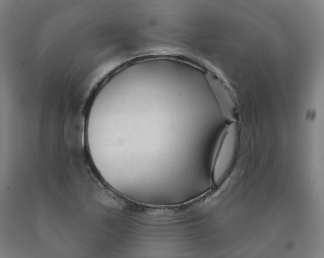 X0000091991171200709271442