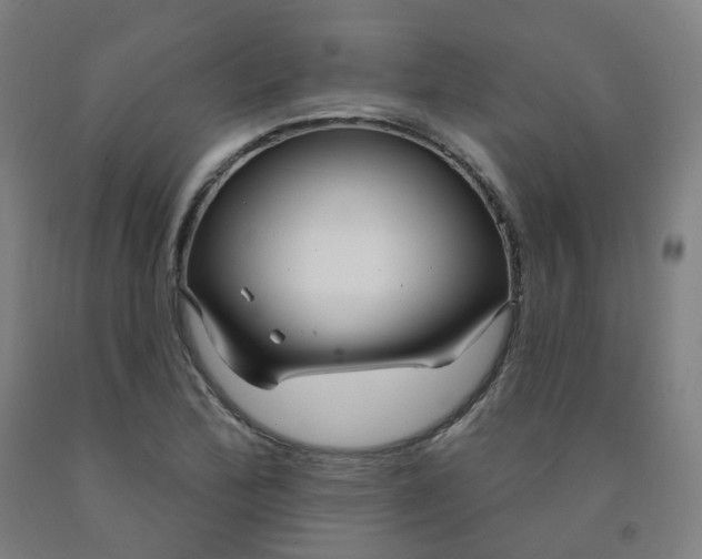 X0000091991172200709271442