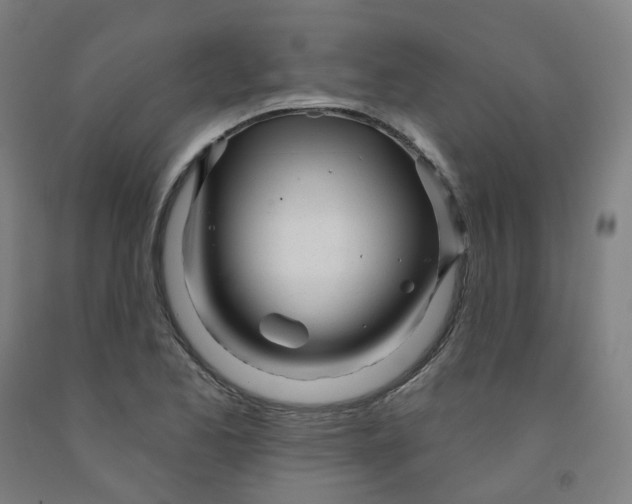 X0000091991173200709271442