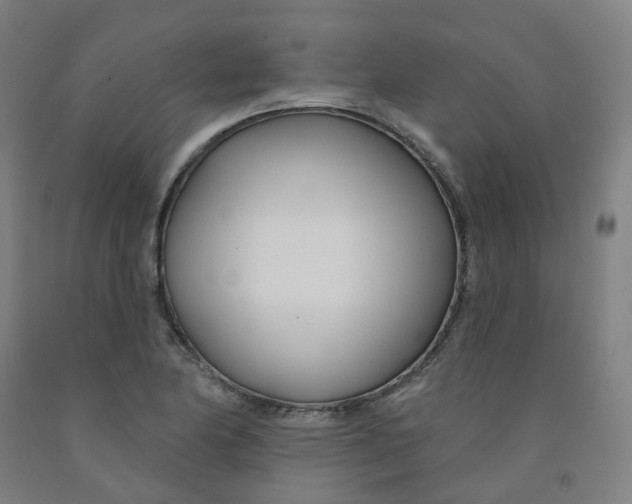 X0000091991174200709271442