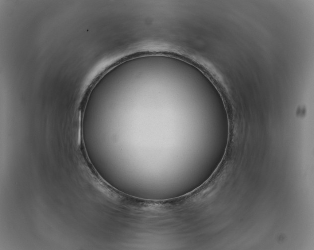 X0000091991175200709271442