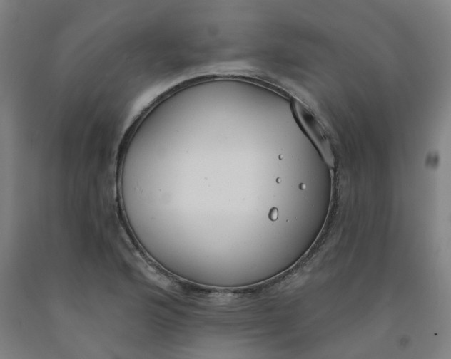 X0000091991176200709271441