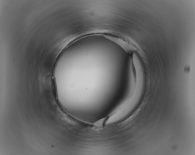 X0000091991177200709271441