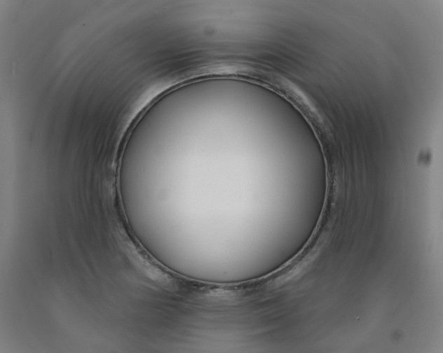 X0000091991178200709271441