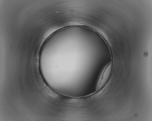 X0000091991179200709271441