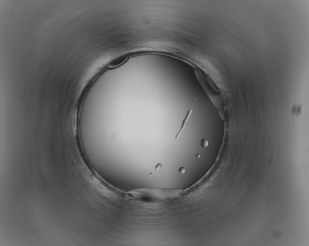 X0000091991180200709271441