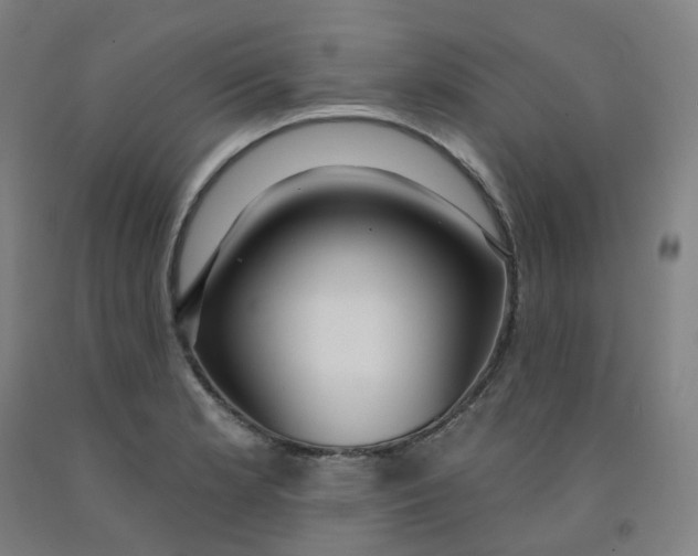 X0000091991181200709271441