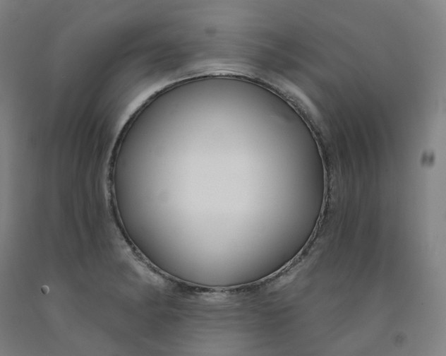 X0000091991182200709271441