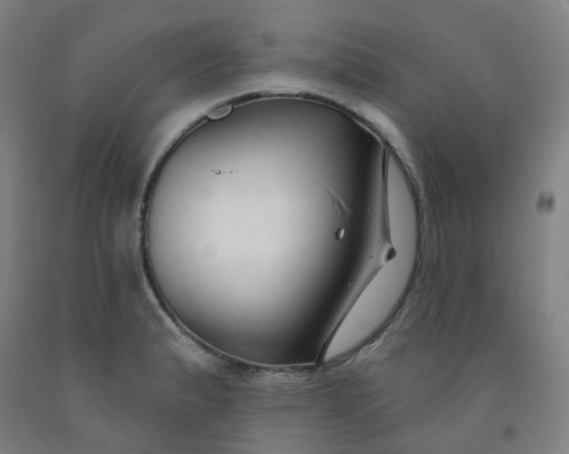 X0000091991183200709271441