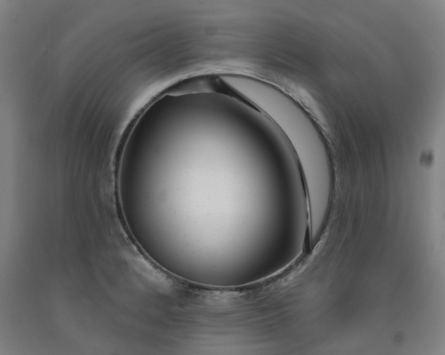 X0000091991184200709271441