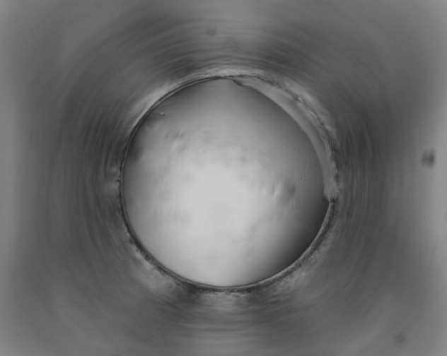 X0000091991185200709271441