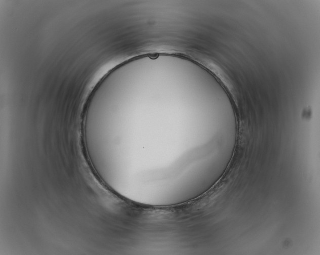 X0000091991187200709271441