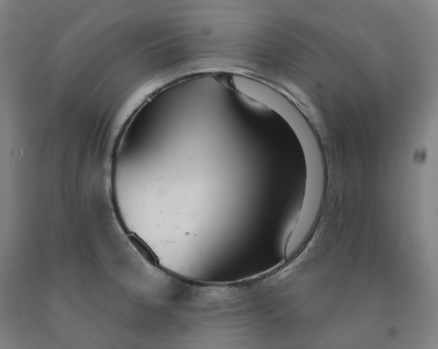 X0000091991188200709271441