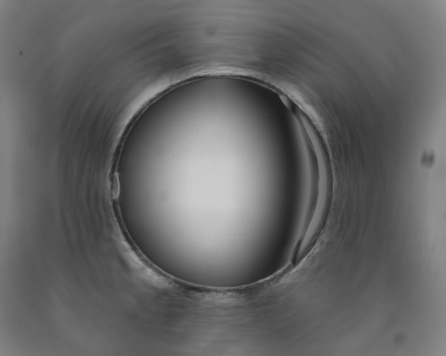 X0000091991189200709271441