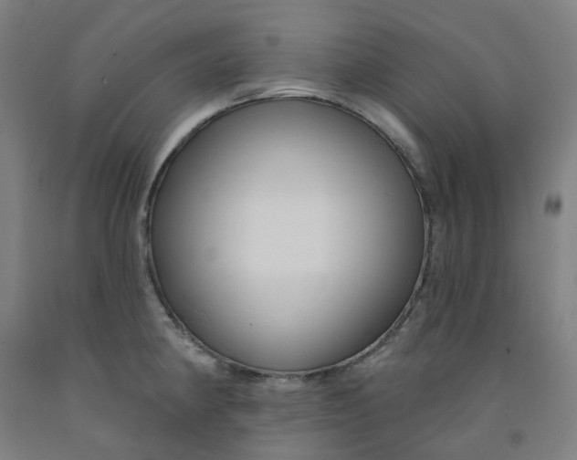 X0000091991190200709271441