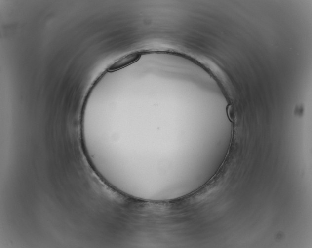 X0000091991191200709271441