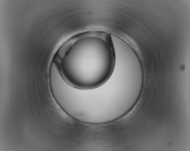 X0000091991192200709271441